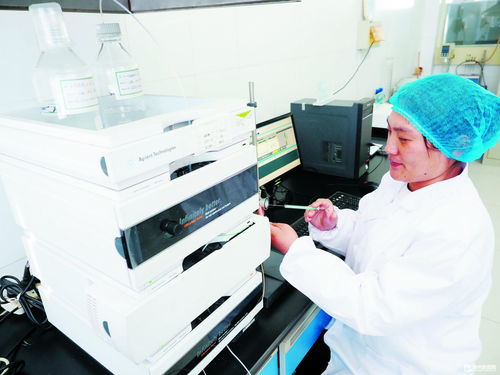 德州瑞康生物科技有限公司 高端产品畅销海外